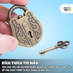 Đồ Chơi Trí Tuệ Mở Khóa Thông Minh Hanayama Puzzle - Bộ Khóa Cài IQ Thử Thách Não Bộ Độc Đáo