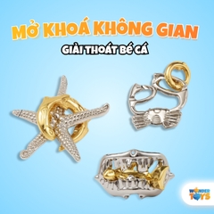Bộ Puzzle Kim Loại 3D Giải Đố Trí Tuệ - Đồ Chơi IQ Thử Thách Tư Duy Cho Trẻ Em