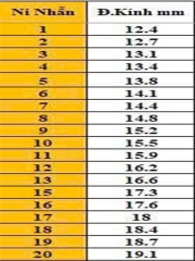 HPJ HOA 4 CÁNH FULL MOISSANITE - SRE043