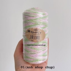 Len Sợi Simply Craft Yarn chính hãng