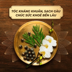 CLEAR Dầu Gội 9 Thảo Dược Cổ Truyền 630g