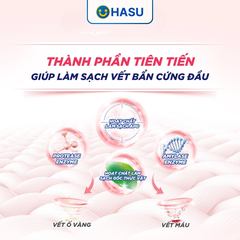 Nước giặt Đồ Lót Omo Hương Hoa Anh Đào Thanh Lịch diệt sạch vi khuẩn và an toàn cho da tay, chai 300g