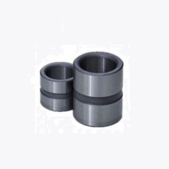 Bạc dẫn hướng GBBM