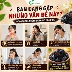 Mai Chua Đen Cao Cấp, Chua Ngọt Tự Nhiên, Sinh Tân Giải Khát, Ăn Vặt Thơm Ngon