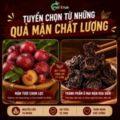 Mận Hoa Điền Cao Cấp, Quả To Thịt Dày, Chua Ngọt Hài Hòa, Dẻo Mềm Dễ Ăn