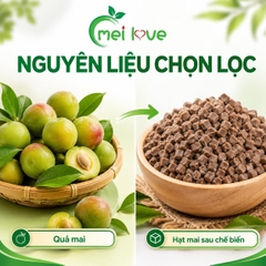 Hạt Mai Cao Cấp, Chua Ngọt Đậm Đà, Nhâm Nhi Vui Miệng, Món Ăn Vặt Truyền Thống