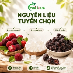 Dương Mai Đường Phèn Cao Cấp, Dẻo Mềm, Chua Thanh, Ngọt Dịu Từ Đường Phèn, Món Ăn Vặt Đặc Sản