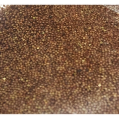 Hạt giống thủy sinh cho hồ cá - Hạt giống trân châu, có trái tim, cỏ may mắn, ngưu mao chiên 10G/ Túi