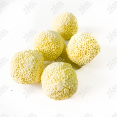 Sứ Lọc, Sứ Nhẫn Lỗ, Sứ Đỏ, Sứ Hoa Mai Cho Hồ Cá Thuỷ Sinh