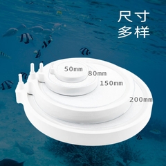 Sủi Dĩa Oxy Hồ Cá - Đá Sủi Dĩa Oxi Mịn Cho Bể Cá Thuỷ Sinh