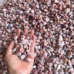 [TỔNG HỢP] 1KG Sỏi, Đá, Cát Trang Trí Hồ Cá, Bể Cá Thuỷ Sinh