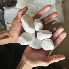 [TỔNG HỢP] 1KG Sỏi, Đá, Cát Trang Trí Hồ Cá, Bể Cá Thuỷ Sinh