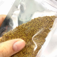 Hạt giống thủy sinh cho hồ cá - Hạt giống trân châu, có trái tim, cỏ may mắn, ngưu mao chiên 10G/ Túi