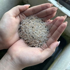 [TỔNG HỢP] 1KG Sỏi, Đá, Cát Trang Trí Hồ Cá, Bể Cá Thuỷ Sinh