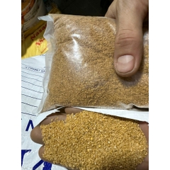 [TỔNG HỢP] 1KG Sỏi, Đá, Cát Trang Trí Hồ Cá, Bể Cá Thuỷ Sinh