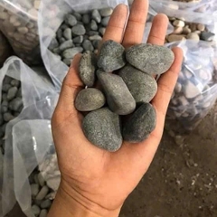 [TỔNG HỢP] 1KG Sỏi, Đá, Cát Trang Trí Hồ Cá, Bể Cá Thuỷ Sinh