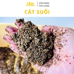 [TỔNG HỢP] 1KG Sỏi, Đá, Cát Trang Trí Hồ Cá, Bể Cá Thuỷ Sinh