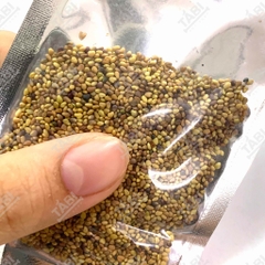 Hạt giống thủy sinh cho hồ cá - Hạt giống trân châu, có trái tim, cỏ may mắn, ngưu mao chiên 10G/ Túi