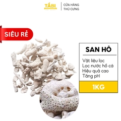 San Hô Lọc Nước Hồ Cá 1kg - San Hô tăng pH Bể Cá [1KG SAN HÔ]