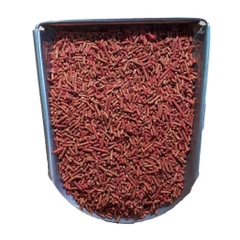 Cám Ớt 1kg Cho Chim Sáo, Nhồng, Cưỡng Tập Nói Thức Ăn Chim [1KG CÁM ỚT]