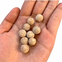 100G Sứ Lọc Viên Hồ Cá, Bể Cá Substrat Taiwan - Sứ Bi Substrat Đài Loan Vật Liệu Lọc Cao Cấp
