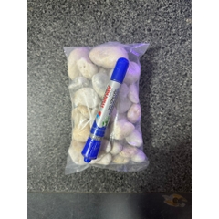 1kg Sỏi Biển Thiên Nhiên Trang Trí Hồ Cá, Lót Chậu, Sân Vườn Thủy Sinh [SỎI BIỂN]