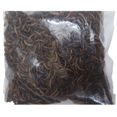 Sâu Khô Cho Chim, Hamster Ăn 25g - Sâu Khô Cho Gà, Trộn Chung Với Cám - Thức Ăn Chim, Hamster [SÂU KHÔ]