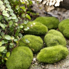 Đá Rêu Giả Bằng Xốp Trang Trí Trang Trí Hồ Cá, Bể Cá, Chậu Cây, Tiểu Cảnh Terrarium [ĐÁ RÊU GIẢ]