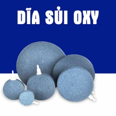 Sủi Dĩa Oxy Hồ Cá - Đá Sủi Dĩa Oxi Mịn Cho Bể Cá Thuỷ Sinh