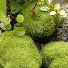 Đá Rêu Giả Bằng Xốp Trang Trí Trang Trí Hồ Cá, Bể Cá, Chậu Cây, Tiểu Cảnh Terrarium [ĐÁ RÊU GIẢ]