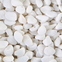 Bịch Sỏi Trắng Viên Vừa 1kg Trang Trí Hồ Cá - Phụ Kiện Bể Cá [SỎI TRẮNG VỪA]