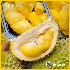 SẦU RIÊNG KRADUM THONG