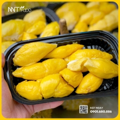 SẦU RIÊNG KRADUM THONG