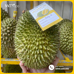 SẦU RIÊNG CHUỒNG BÒ