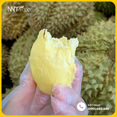 SẦU RIÊNG SỮA CHÍN HOÁ