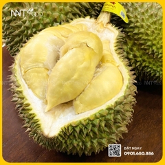 SẦU RIÊNG MONTHONG CANH TÁC CHUẨN HỮU CƠ