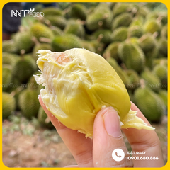 SẦU RIÊNG SÁU HỮU