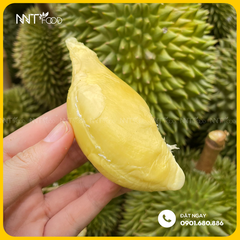 SẦU RIÊNG SÁU HỮU