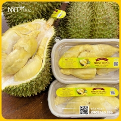 SẦU RIÊNG MONTHONG CANH TÁC CHUẨN HỮU CƠ