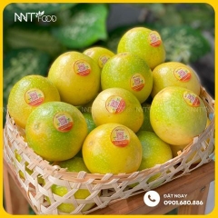 CHANH DÂY MẬT ONG