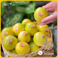 CHANH DÂY MẬT ONG