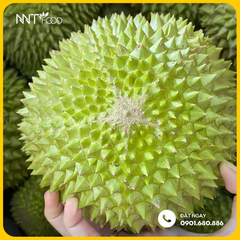 SẦU RIÊNG MUSANG KING