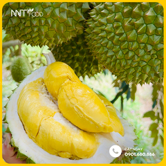 SẦU RIÊNG MUSANG KING