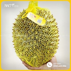 SẦU RIÊNG RI 6 CẤP ĐÔNG NGUYÊN TRÁI