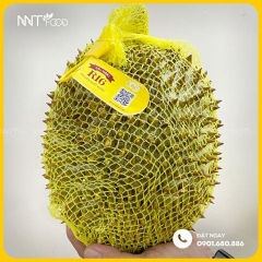 SẦU RIÊNG RI 6 CẤP ĐÔNG NGUYÊN TRÁI