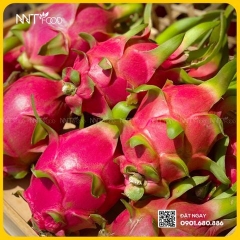 THANH LONG RUỘT TRẮNG