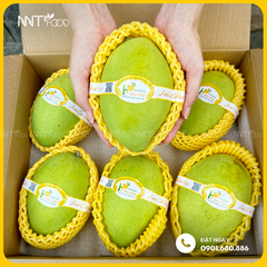 XOÀI CÁT HÒA LỘC