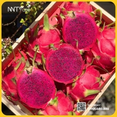 THANH LONG BÚP SEN RUỘT ĐỎ