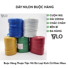 Dây Nilong Buộc Hàng, Gói Hàng, Dây Tải Dứa Cuộn 1kg Dài 2000m