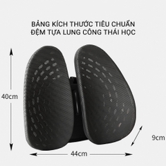 Đệm Tựa Lưng Văn Phòng Có Túi Khí Công Thái Học, Tựa Lưng Ghế Văn Phòng Ergonomic Dùng Được Cả Trên Ô Tô